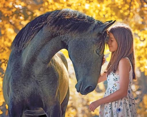 Girl and her Black Horse paint by numbers