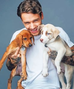 Liam Payne And Puppies paint by number