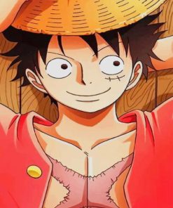Luffy one Piece paint by numbers
