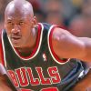Michael Jordan Bulls paint by numbers