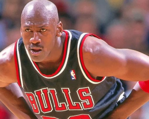 Michael Jordan Bulls paint by numbers