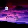 Nature Purple Sky paint by number