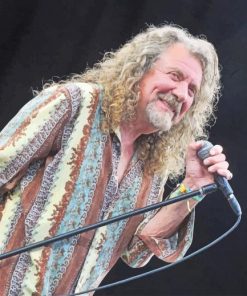 Robert Plant Performing paint by number
