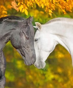 Romantic Black and White Horses paint by numbers