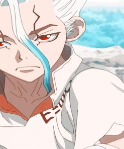 Senku Ishigami dr Stone paint by numbers