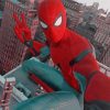 Spider Man selfie Paint By numbers