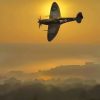 Spitfire Sunset paint by number