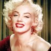 The Gorgeous Marlyn Monroe paint by numbers