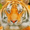Tiger Facpaint by numbers