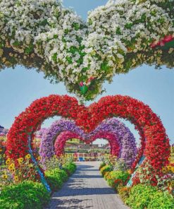 Dubai Miracle Garden paint by numbers