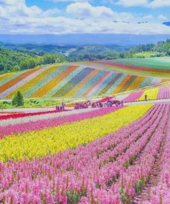 Hokkaido Japan paint by numbers