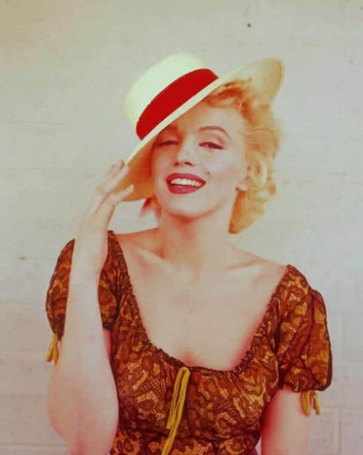 Chic Marilyn Monroe paint by numbers