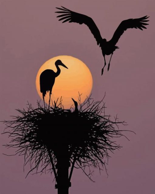 Birds Silhouette paint by numbers