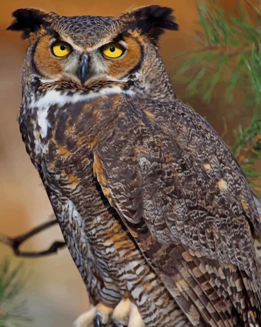 Great Horned Owl paint by numbers