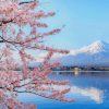 Cherry Blossom Sea Mountain paint by numbers