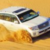 Desert Safari Dubai Car paint by numbers