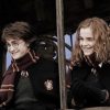 harry potter With hermione paint by numbers