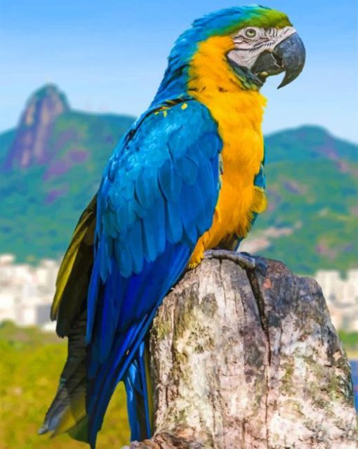 Blue Macaw Parrot paint by number paint by numbers