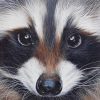 Racoon Portrait paint by numbers