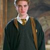 Robert Pattinson Harry Potter paint by numbers