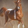 Sorrel Horse paint by numbers