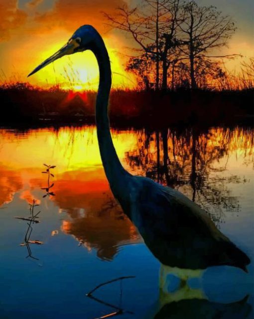 Bird In The Sunset paint by numbers