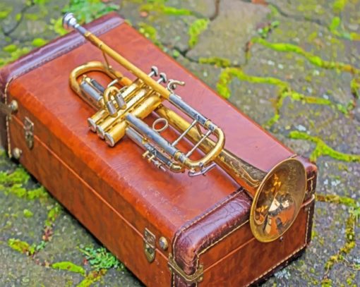 Brass Leather Music Instrument paint by numbers