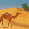 Camel In Desert Lands paint by numbers