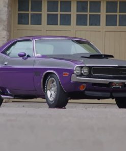 Purple Dodge Challenger TA Car paint by numbers