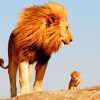 Father And Sun Lions