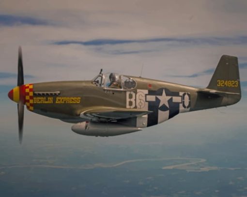 Fighter Airplane P51 Mustang Flight paint by numbers
