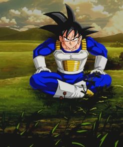 Goku In Saiyan Uniform Dragon Ball Z paint by numbers