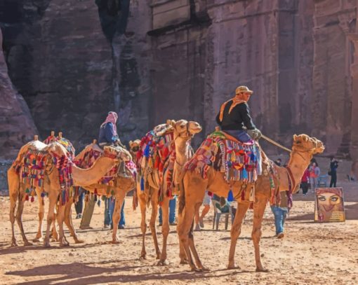 Jordan Petra Camels Paint By Numbers