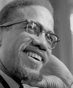 Malcom X American Minister paint by numbers