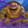 Ninja Turtles Donatello paint by numbers