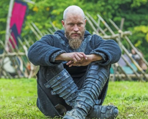 Vikings King Ragnar paint by numbers