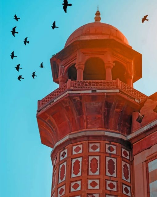 Birds Flying Above Safdarjung Tomb paint by numbers