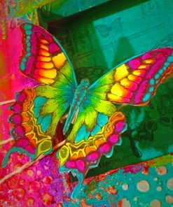 Colorful Butterfly Insect paint by numbers