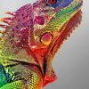 Common Agama paint by numbers