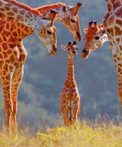 Giraffe Family paint by numbers
