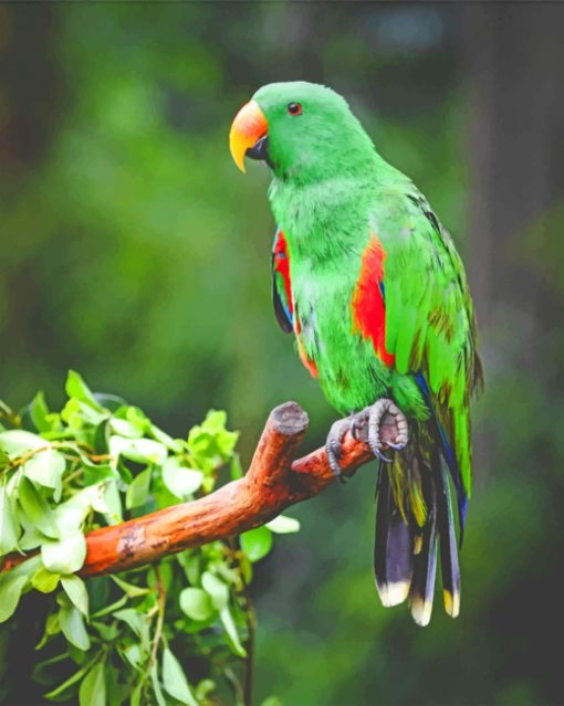 Green Parrot On Tree Branch paint by numbers