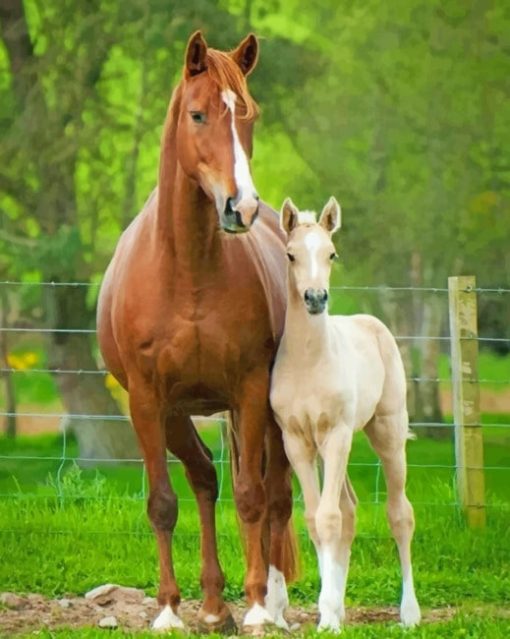 Horse And Foal paint by numbers