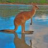 Kangaroo In The River paint by numbers