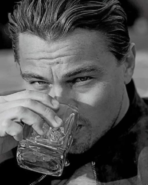 Leo Dicaprio Black And White paint by numbers
