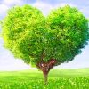 Love Heart Tree paint by numbers