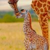 Mommy And Baby Giraffe In The Jungle paint by numbers