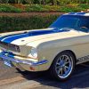 Mustang Fastback Gt500 paint by numbers