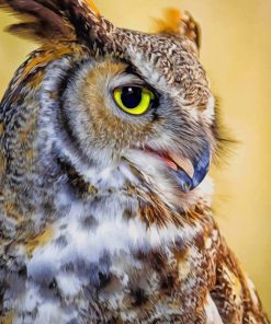 Great Horned Owl - Paint by Numbers