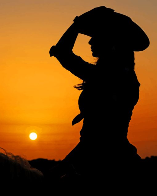 Silhouette Of Cowgirl On Horse paint by numbers