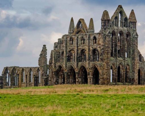 Whitby Abbey Monastery Ruins paint by numbers